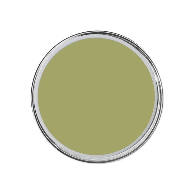 Krāsainais gēls Olive